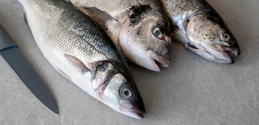 فوائد وأضرار سمك الهامور للحامل