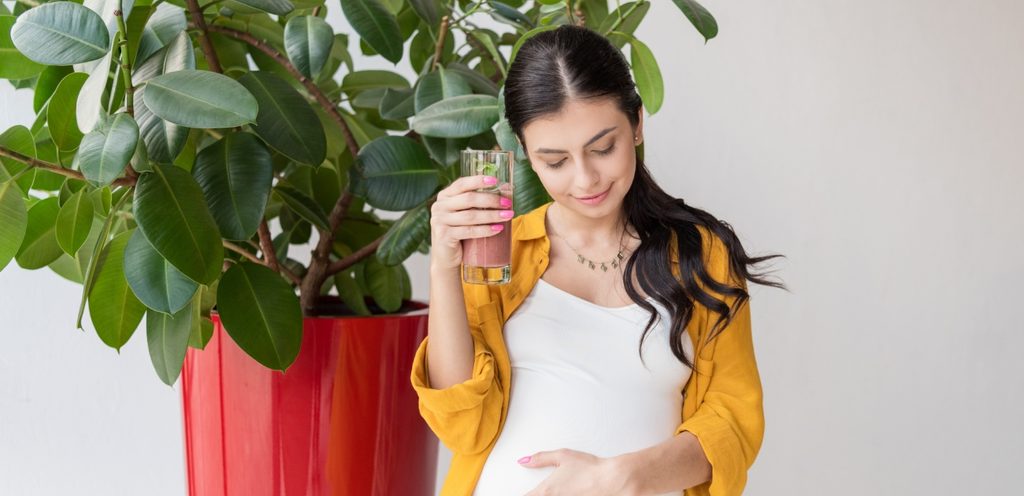 حامل تشرب كوكتيل الفراولة مع بذور الحلبة