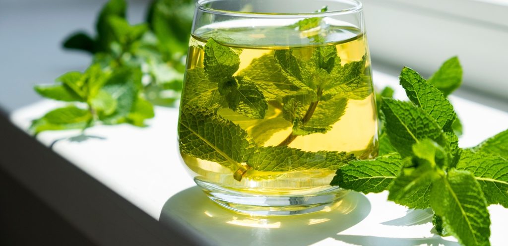 شاي النعناع