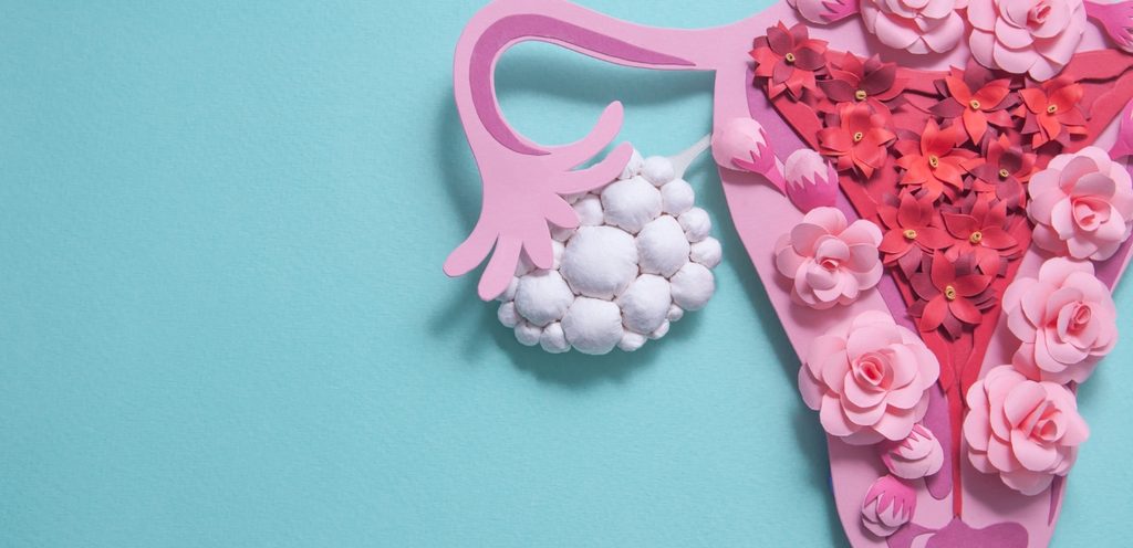 مجسم لمبيض المرأة