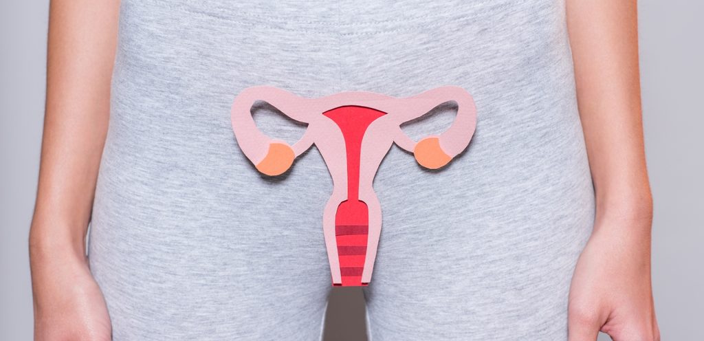 الجهاز التناسلي الأنثوي