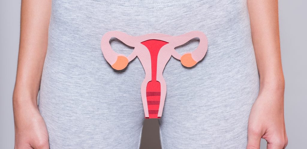 الجهاز التناسلي الأنثوي