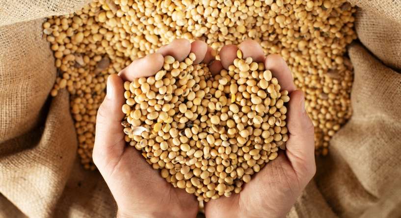 فوائد فول الصويا للنساء