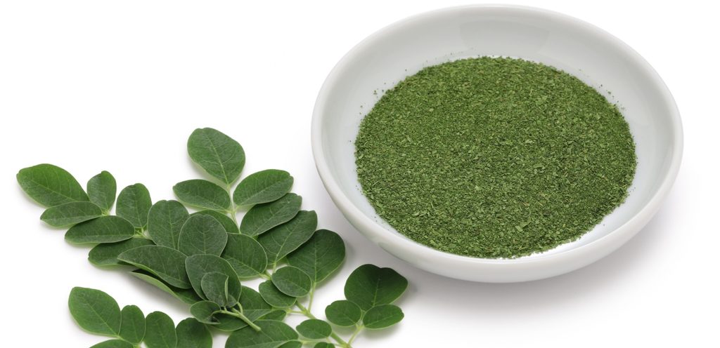 نبتة المورينجا الخضراء والمطحونة