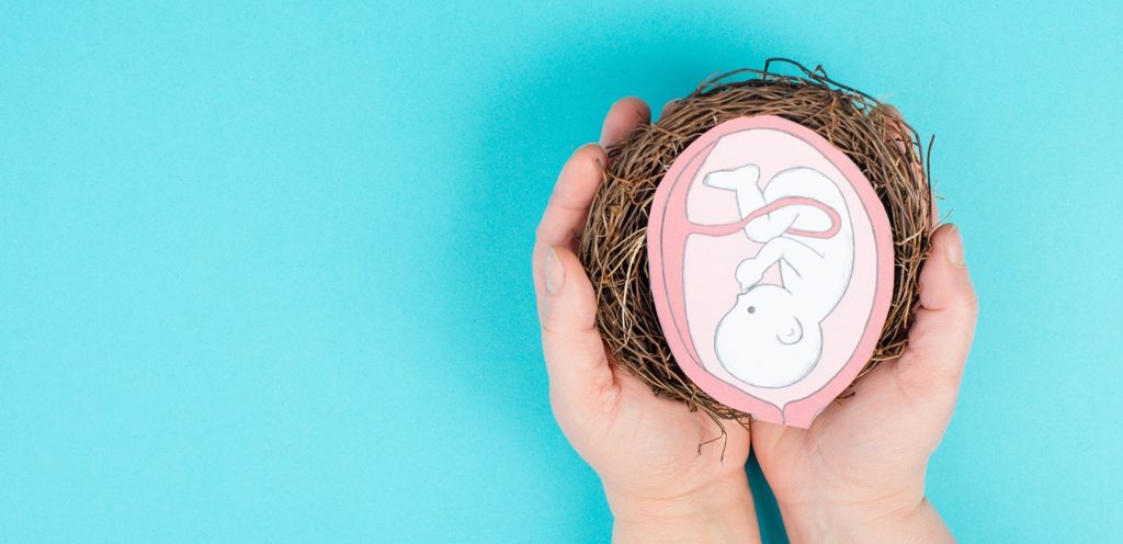 يد تُمسك صورة جنين في الرحم