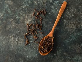 القرنفل للحمل