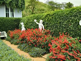 تزيين حديقة المنزل