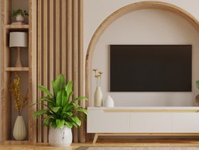 حماية شاشة التلفزيون