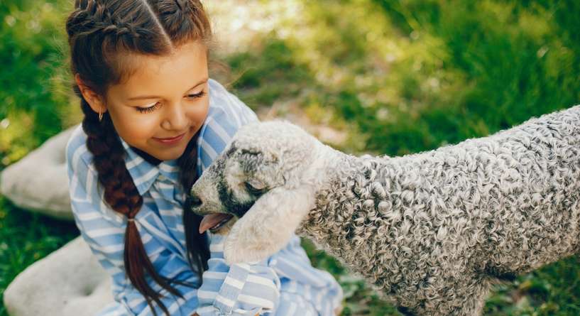 الرفق بالحيوان للاطفال