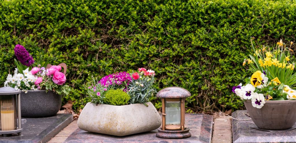 أواني حجريّة فيها زهور ونباتات في الحديقة