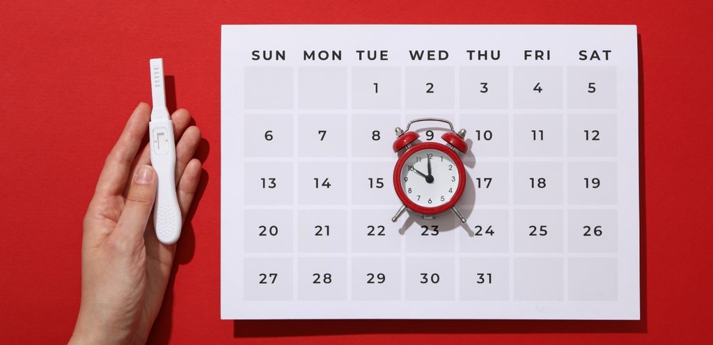 رزنامة تواريخ عليها مُنبّه ويد امرأة بجانبها تُمسك اختبار حمل