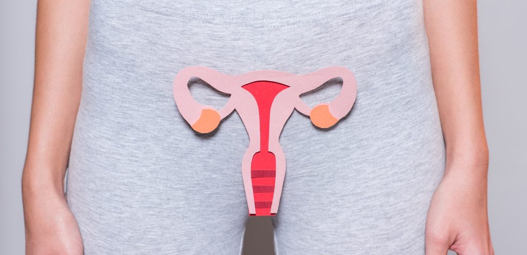 شكل الجهاز التناسلي الأنثوي في المنطقة السفليّة لدى امرأة