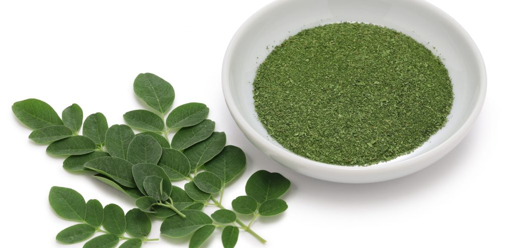 أوراق المورينجا