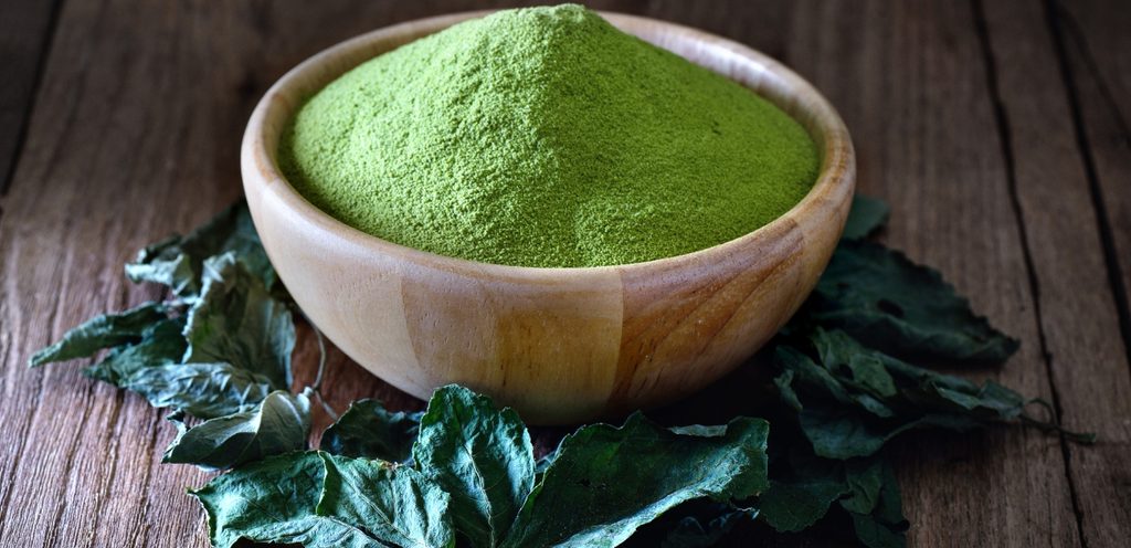 المورينجا المطحونة