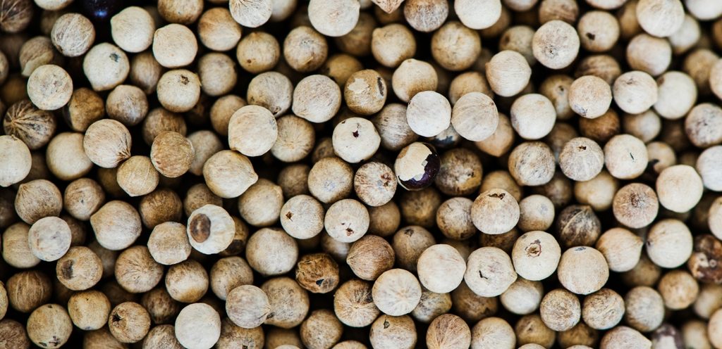 حبوب من الفلفل الأبيض