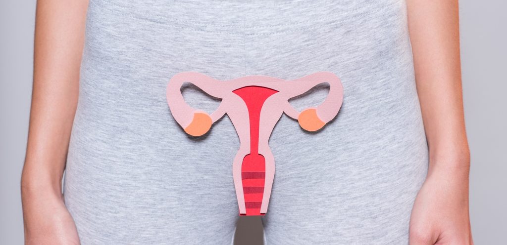 شكل العضو التناسلي الأنثوي على المنطقة الحساسية لفتاة