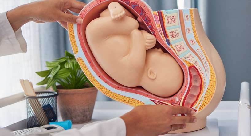 سبب قصر عظمة الفخذ للجنين