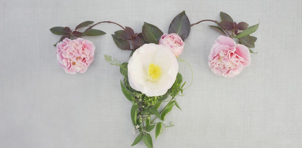 شكل الجهاز التناسلي الأنثوي مصنوع من الورود