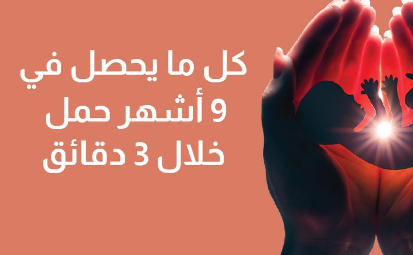 بالفيديو، كل ما يحصل في 9 أشهر حمل خلال 3 دقائق