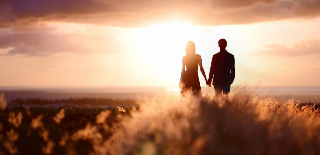 الشريك المثالي