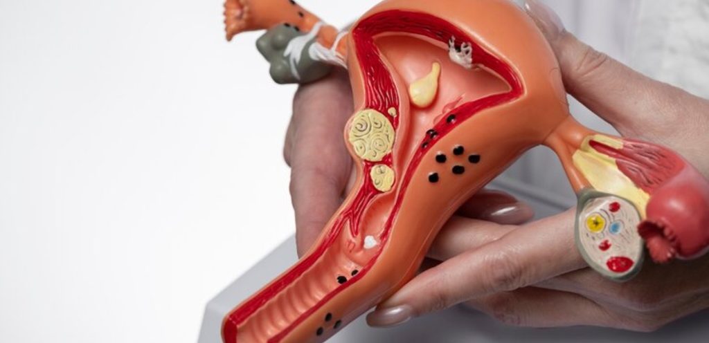 مصدر الصورة: موقع Freepik