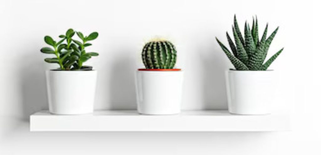 مصدر الصورة: موقع  Freepik