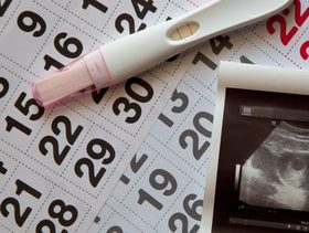 نسبة الحمل بعد الدورة مباشرة