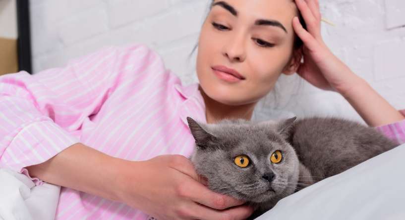 علاج فطريات القطط بسرعة
