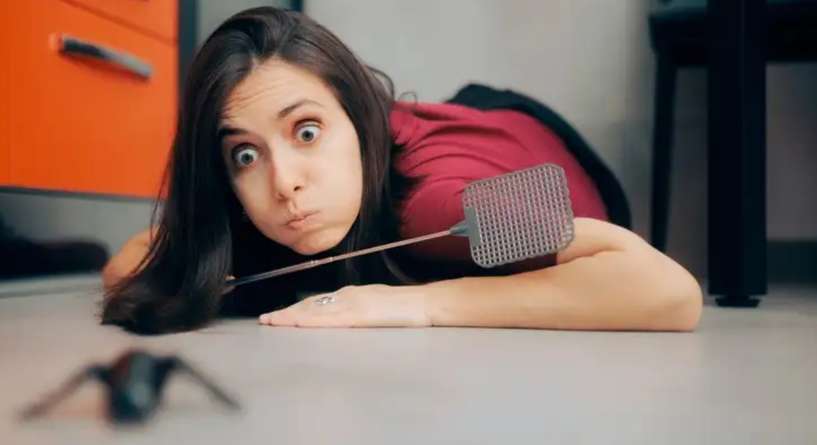 لن تصدقي كيف يمكن لهذا المكون البسيط أن يخلصك من الصراصير للأبد