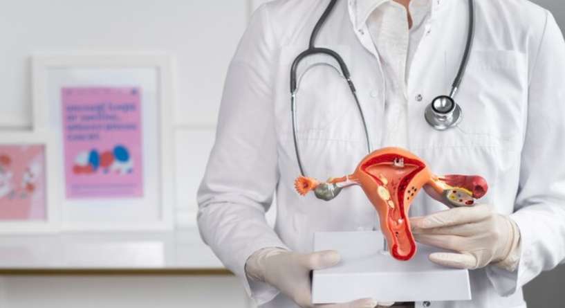طبيب يحمل مجسمًا للرحم