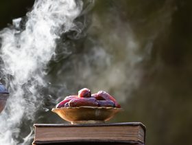 افضل انواع البخور للعروس​