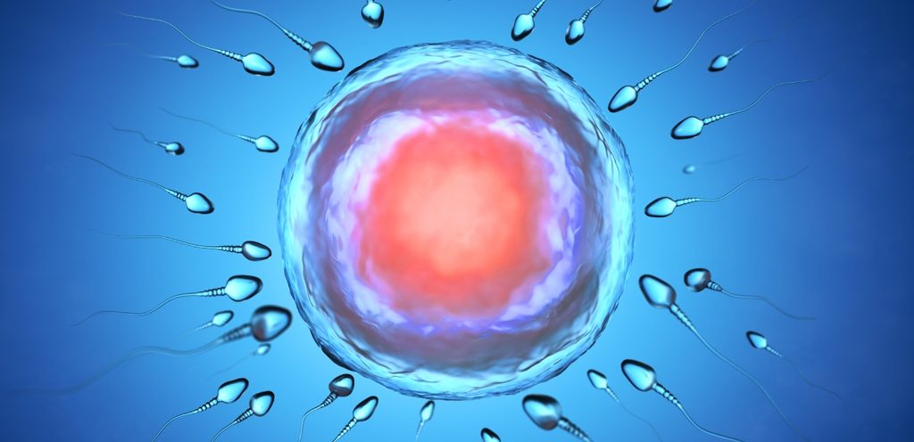 شكل بويضة وحولها حيوانات منويّة