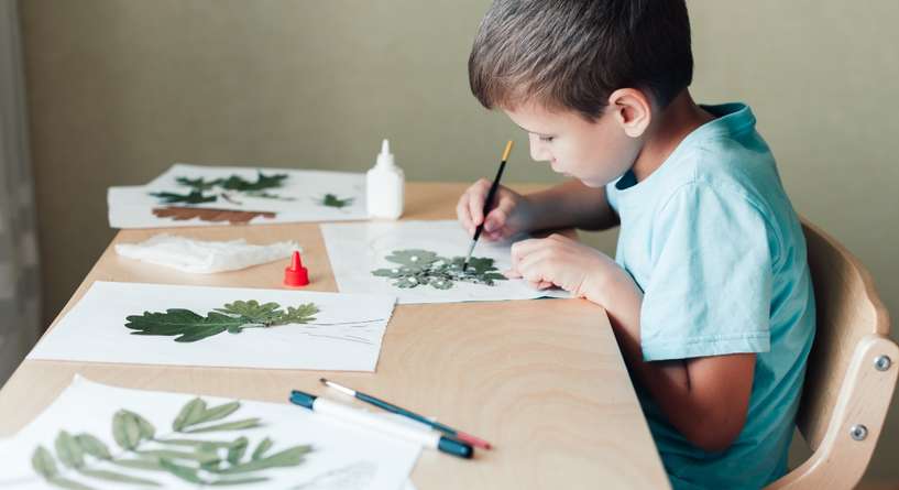 رسم مراحل نمو النبات للاطفال​