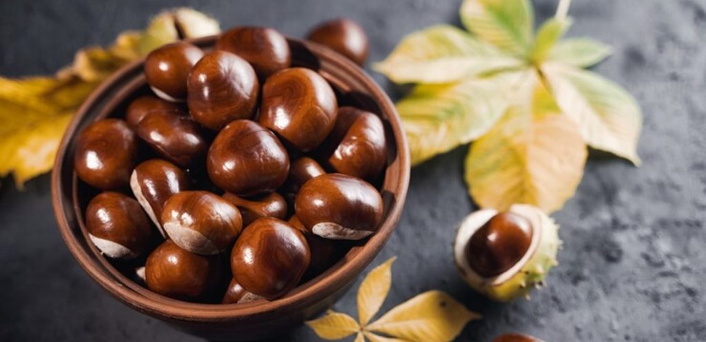 مصدر الصورة: موقع  Freepik