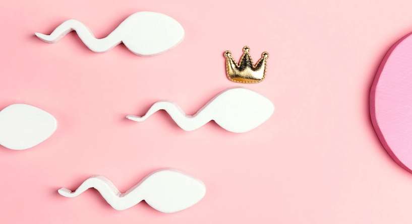 الحيوانات المنوية