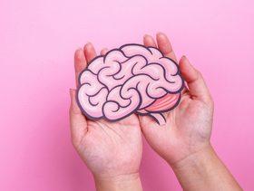 دماغ المرأة ودماغ الرجل