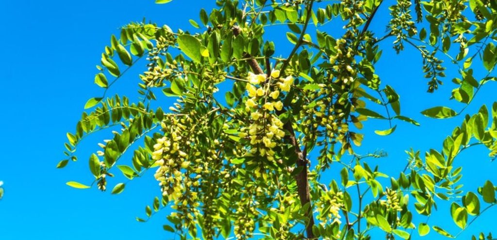 مصدر الصورة: موقع Freepik