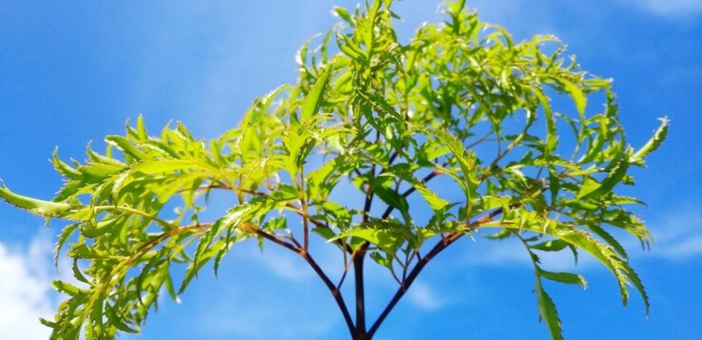 مصدر الصورة: موقع Freepik