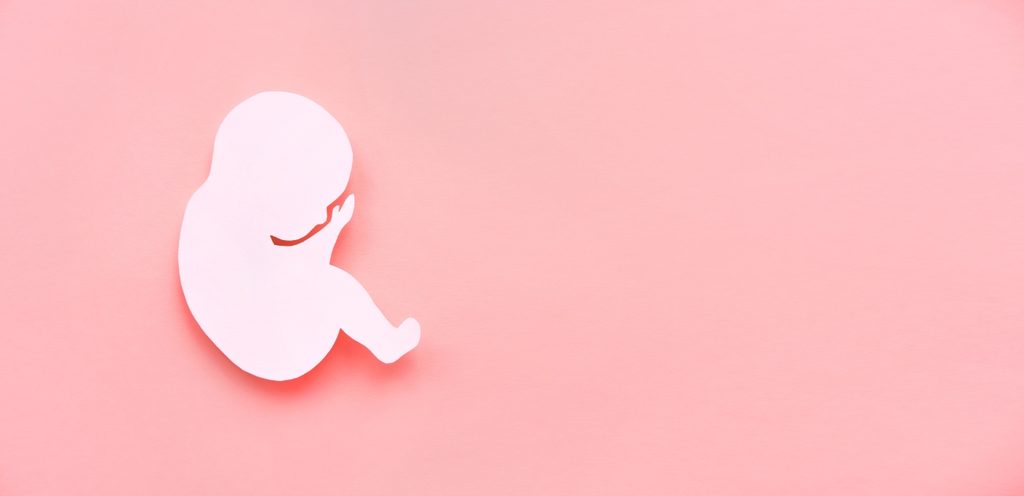 شكل جنين بالورق الأبيض أمام خلفيّة زهريّة
