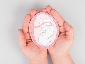 صورة مرسومة للجنين