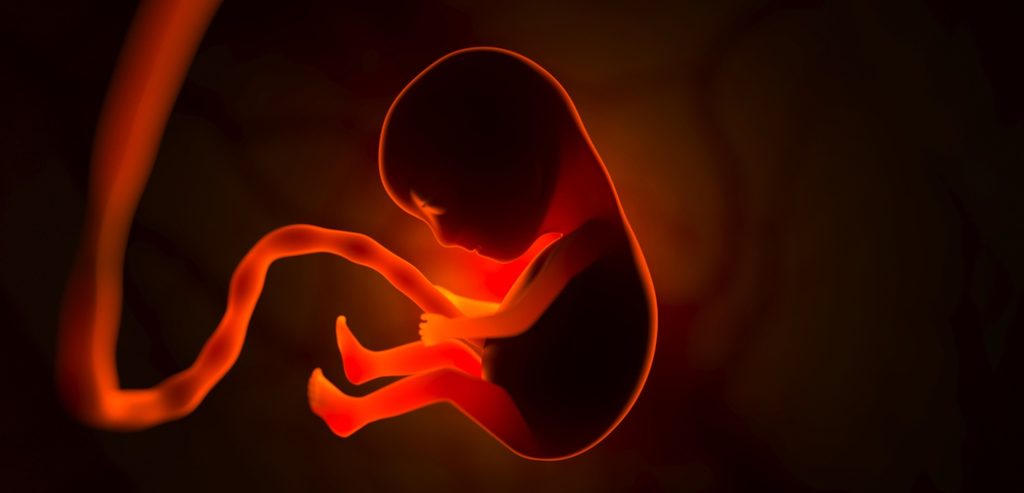 جنين في رحم أمه