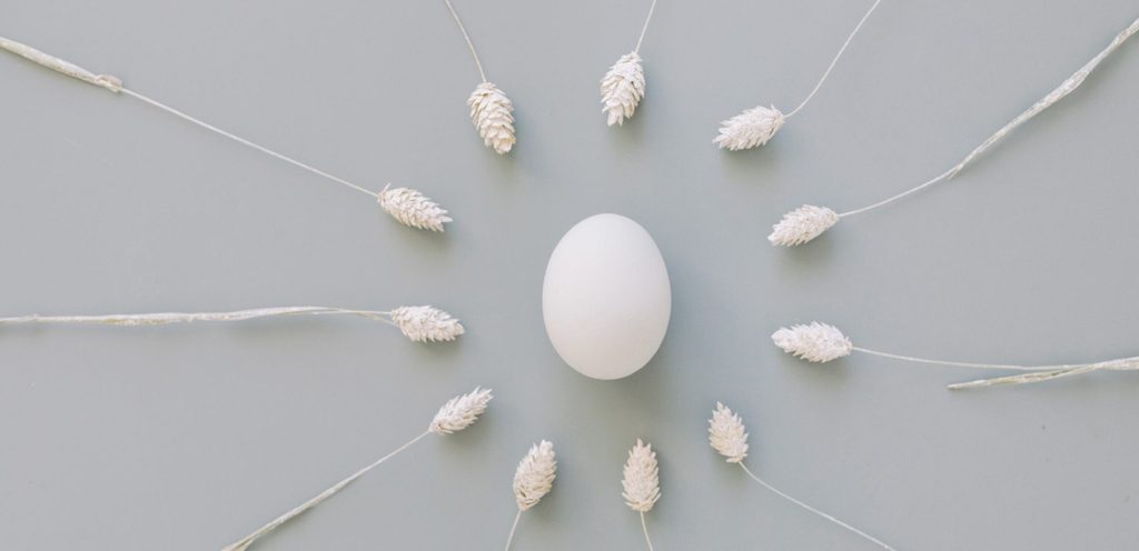 صورة للحيوانات المنوية حول البويضة