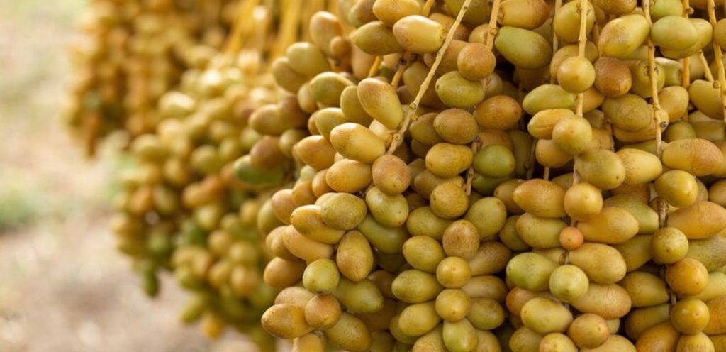 مصدر الصورة: موقع Freepik