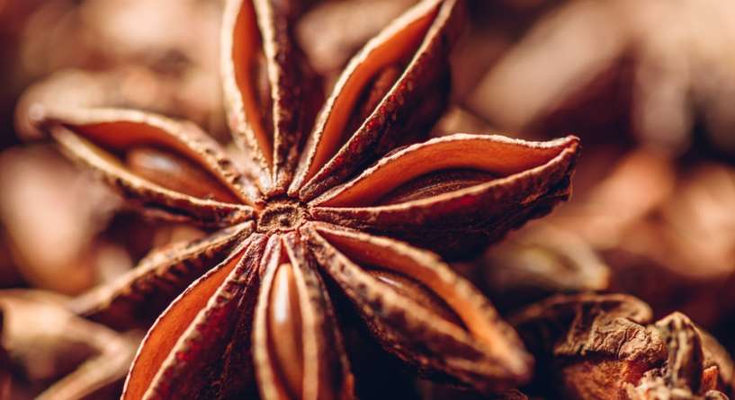 نجمة اليانسون