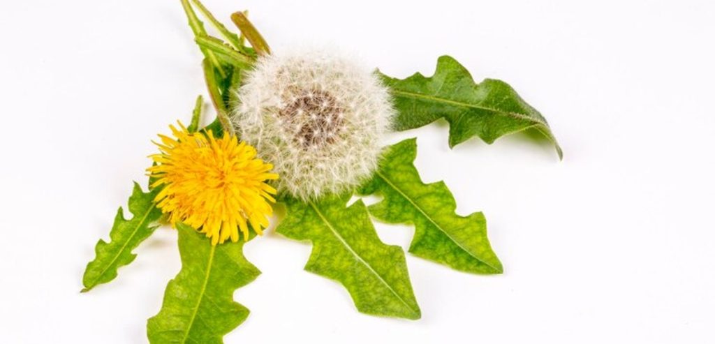 مصدر الصورة: موقع  Freepik