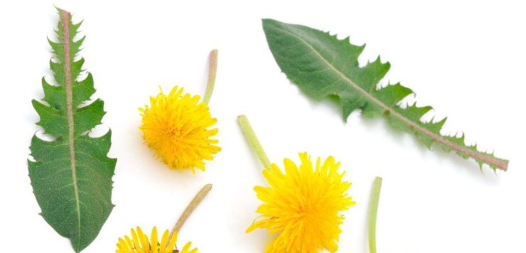 مصدر الصورة: موقع  Freepik