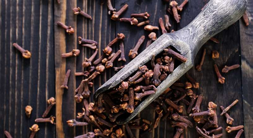 فوائد القرنفل للحمل السريع​