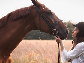 تفسير حلم الخيل​