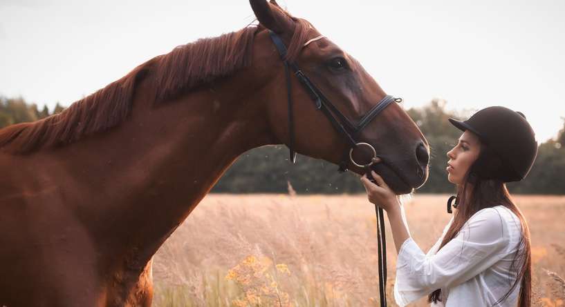تفسير حلم الخيل
