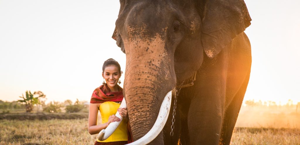 امرأة وفيل